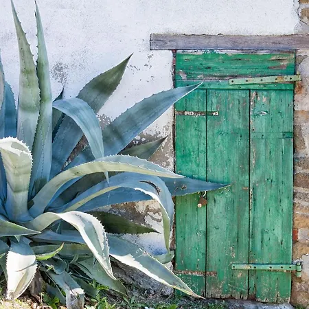 Podere La Contadina Prázdninový dům Civitella in Val di Chiana
