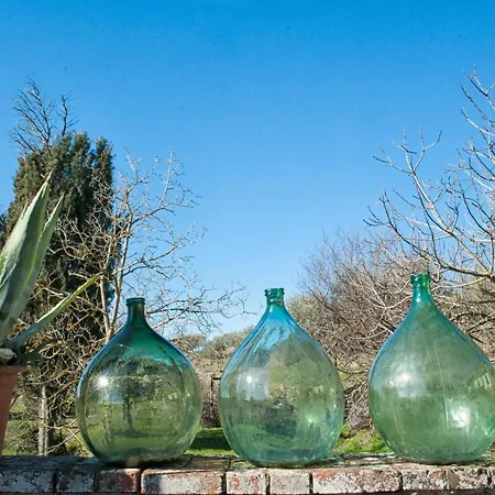 Podere La Contadina Prázdninový dům Civitella in Val di Chiana