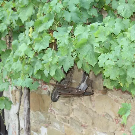 Prázdninový dům Podere La Contadina Civitella in Val di Chiana